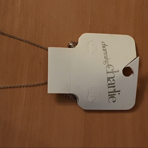 NWT Charming Charlie Dainty Sideways Silver Cross - Picture 7 of 8